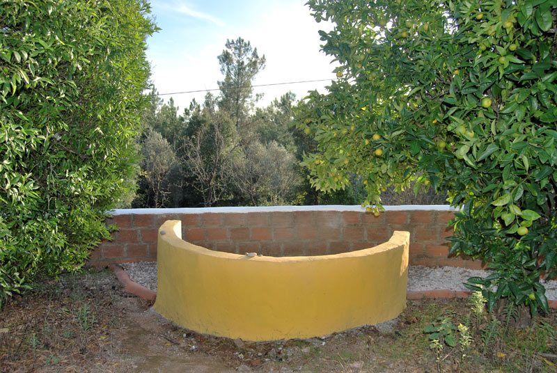 A curved bench set to look out over the land, citrus either side