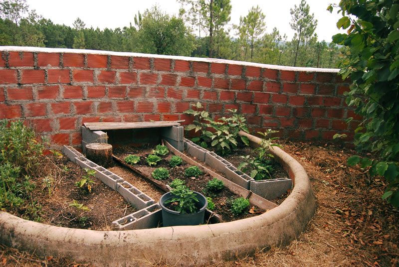 A sheltered walled bed, planted up and edged with blocks