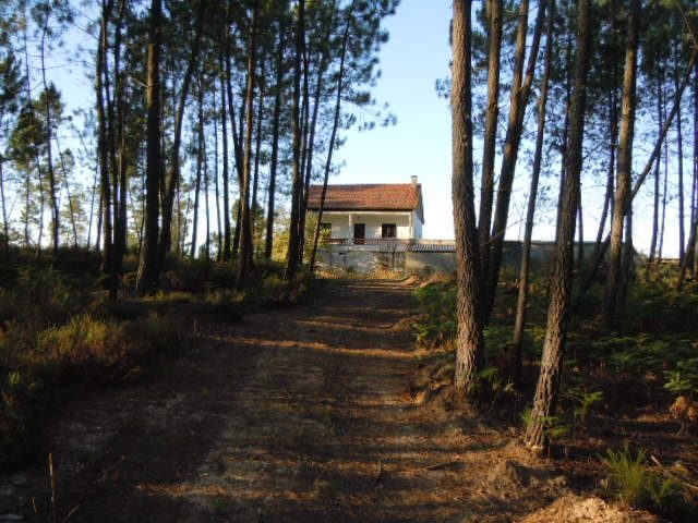 Can you really run an online business from rural Portugal?