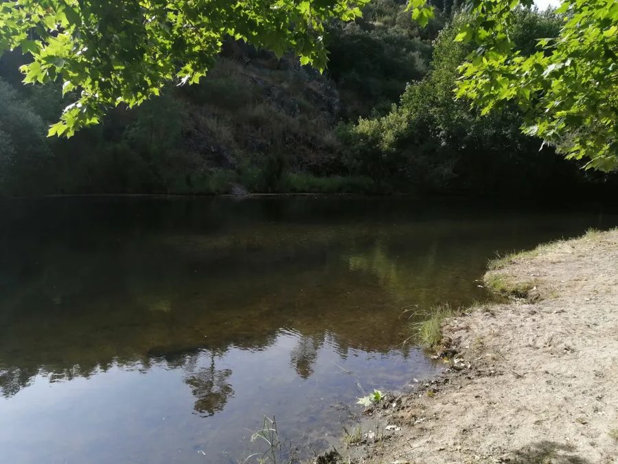 The river beach — sandy edge and clear, slow water