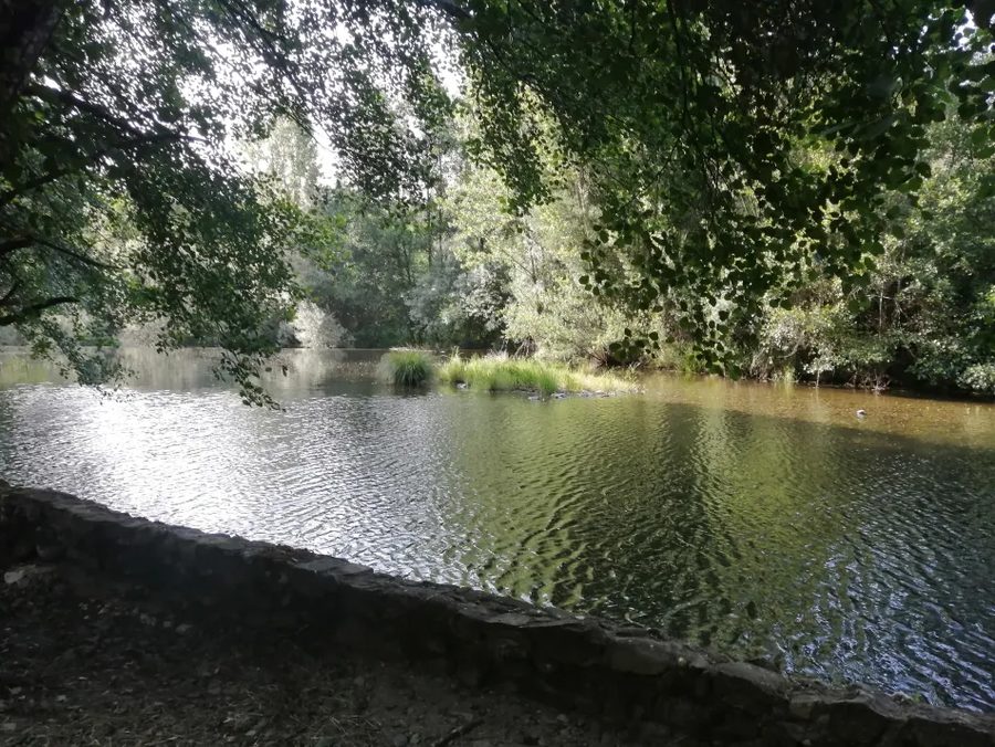 Deep shade over the water on a hot afternoon